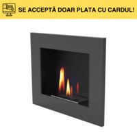 BIOSEMINEU SINGLE BIO1 50X40 GRAFIT
