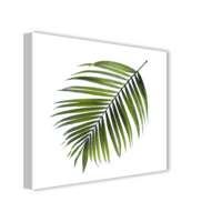 CANVAS 32X32 ST475 PALM CA-11956