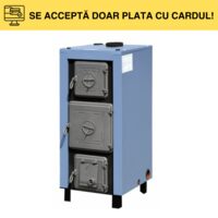 CAZAN BIOMASA 32KW CELSIUS 10720270