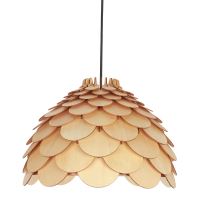 CORP IL.BURGO LP-101335/1P S