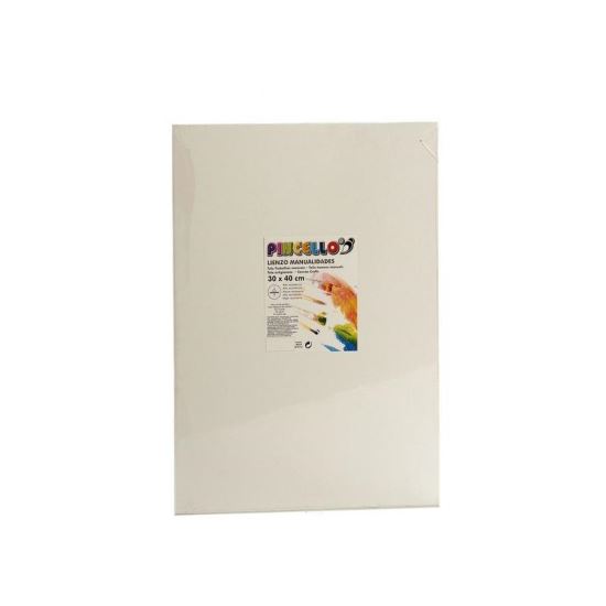 TABLOU CANVAS 35X25 30524