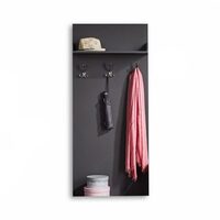 ANTREU BRUNO CUIER 0.65M GRAFIT