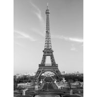 FOTOTAPET 4CZ-386 31209
