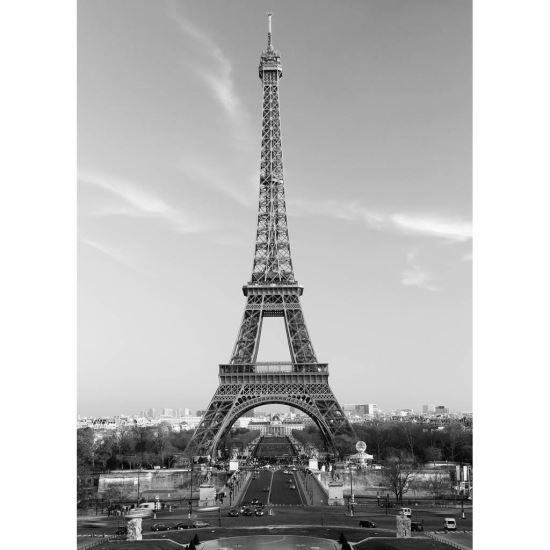 FOTOTAPET 4CZ-386 31209