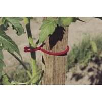 CLEME TOMATOCLIP 25B RE 2017726