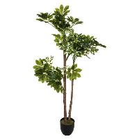 DECO FLOARE SCHEFFLERA H130 179268