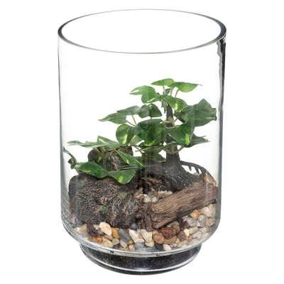 DECO BONSAI TERRARIUM H19 181414
