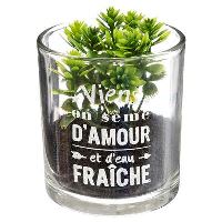 DECO PLANTA MESAJ D7 H8 168543 JJA