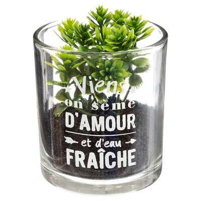 DECO PLANTA MESAJ D7 H8 168543 JJA