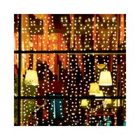PERDEA LUMINI 20GHIRLANDE/20LED ALB EXT. MLF400WW