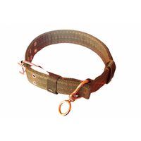 CUREA CAINE MATERIAL VERDE GF-0086