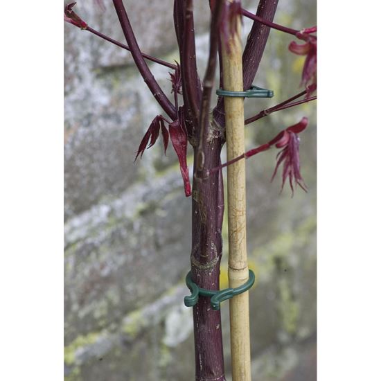 CLEME FIX.PLANTE 40B 5022804 Nortene