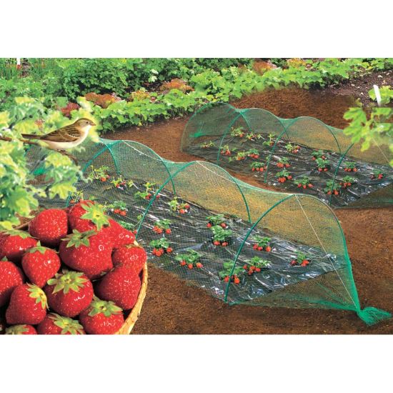 PLASA PROT.PASARI 2X10M 120010 Nortene