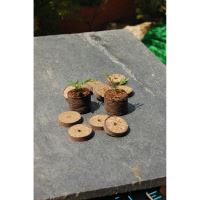 TABLETE TURBA 25B 4CM 160007 Nortene