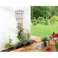 SUPORT PLANTE 1.8M 170286 Nortene 
