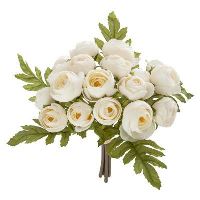 BUCHET 18 CAMELII H30 JJA 155721  