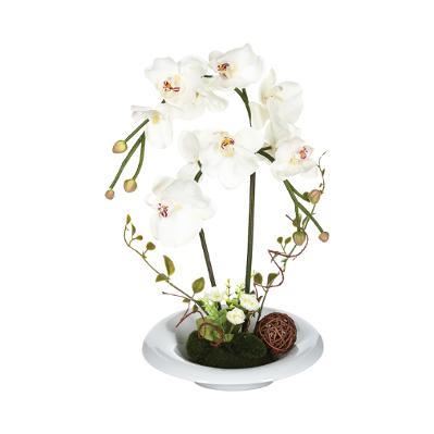 DECOR ORHIDEE VAZA H46 JJA 116389