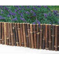 BORDURA BAMBOO 0.35X1 170041 Nortene
