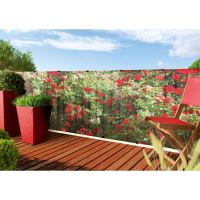 PARAVAN DECOR FLORI 1X3 2011311 Nortene 