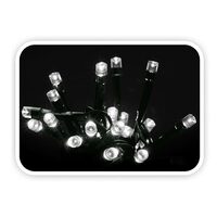 XMAS INST.EXT.40LED 8205000